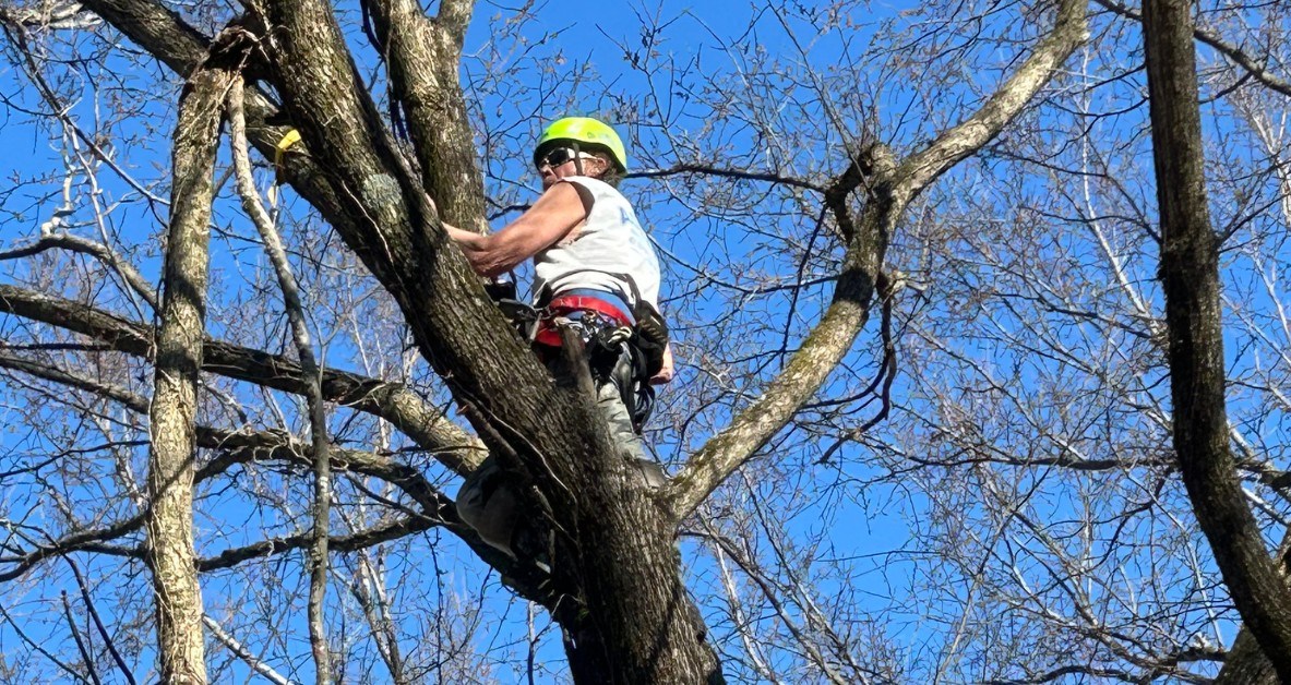 Adams Tree Service