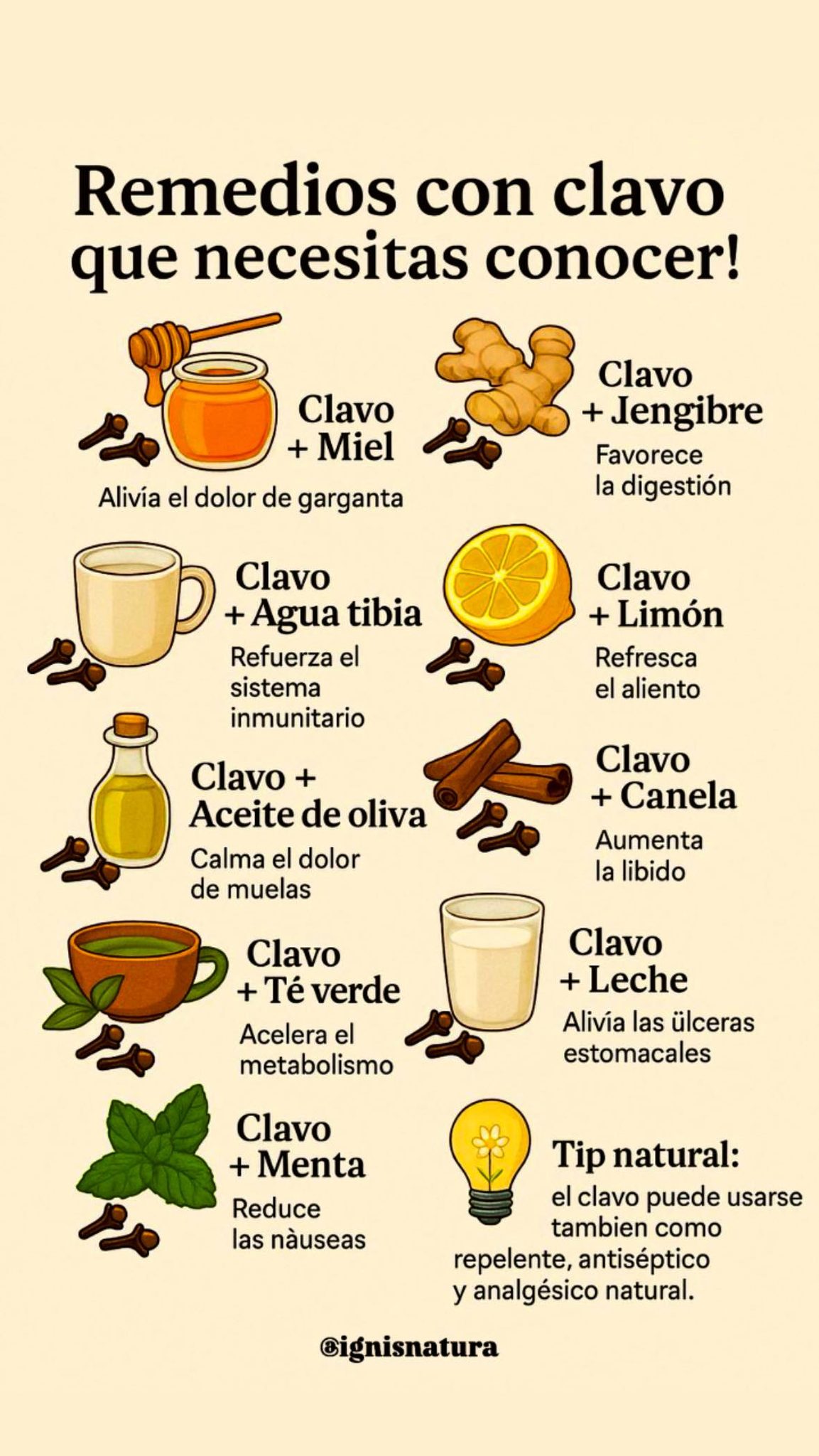 ignis-natura-descubre-los-beneficios-del-clavo-y-sus-facebook