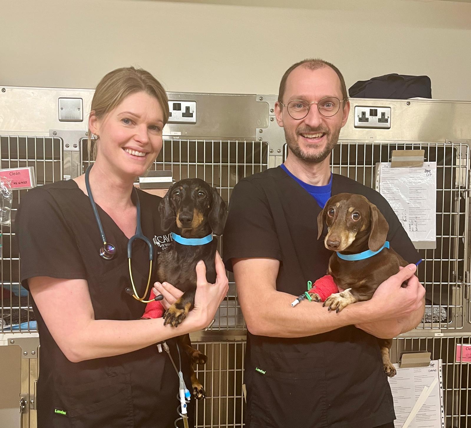 Meet two of our... - Cave Veterinary Specialists | Facebook