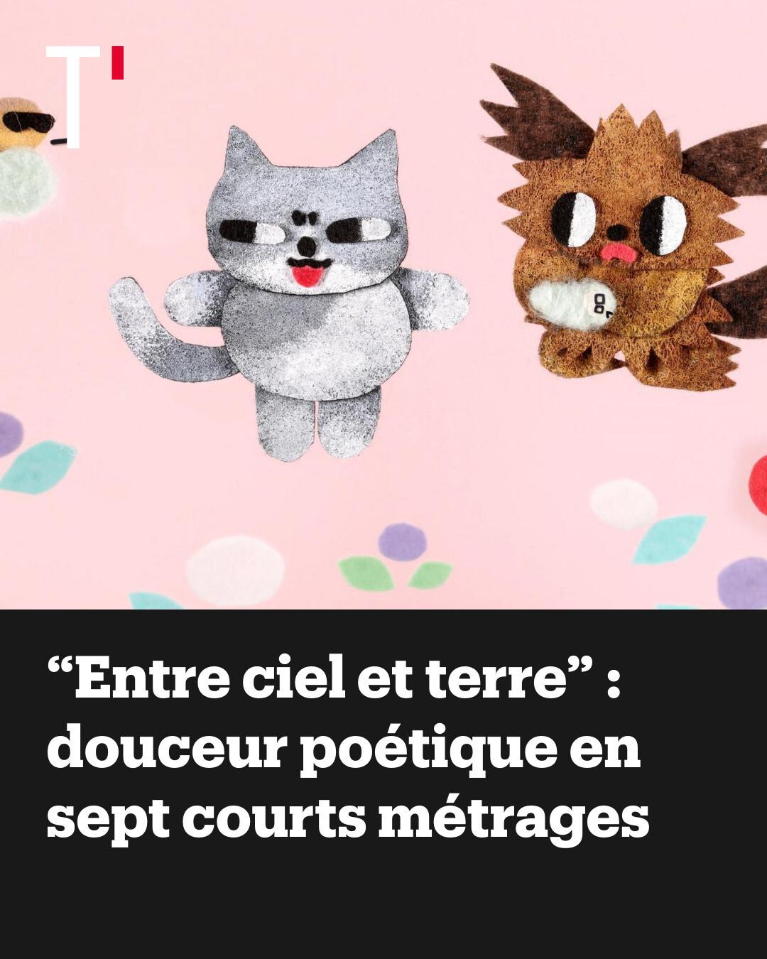 60 Aimants Animaux Zoo – Apprentissage Préscolaire En Anglais, Mousse EVA 0,5 Cm, Dès 3 Ans