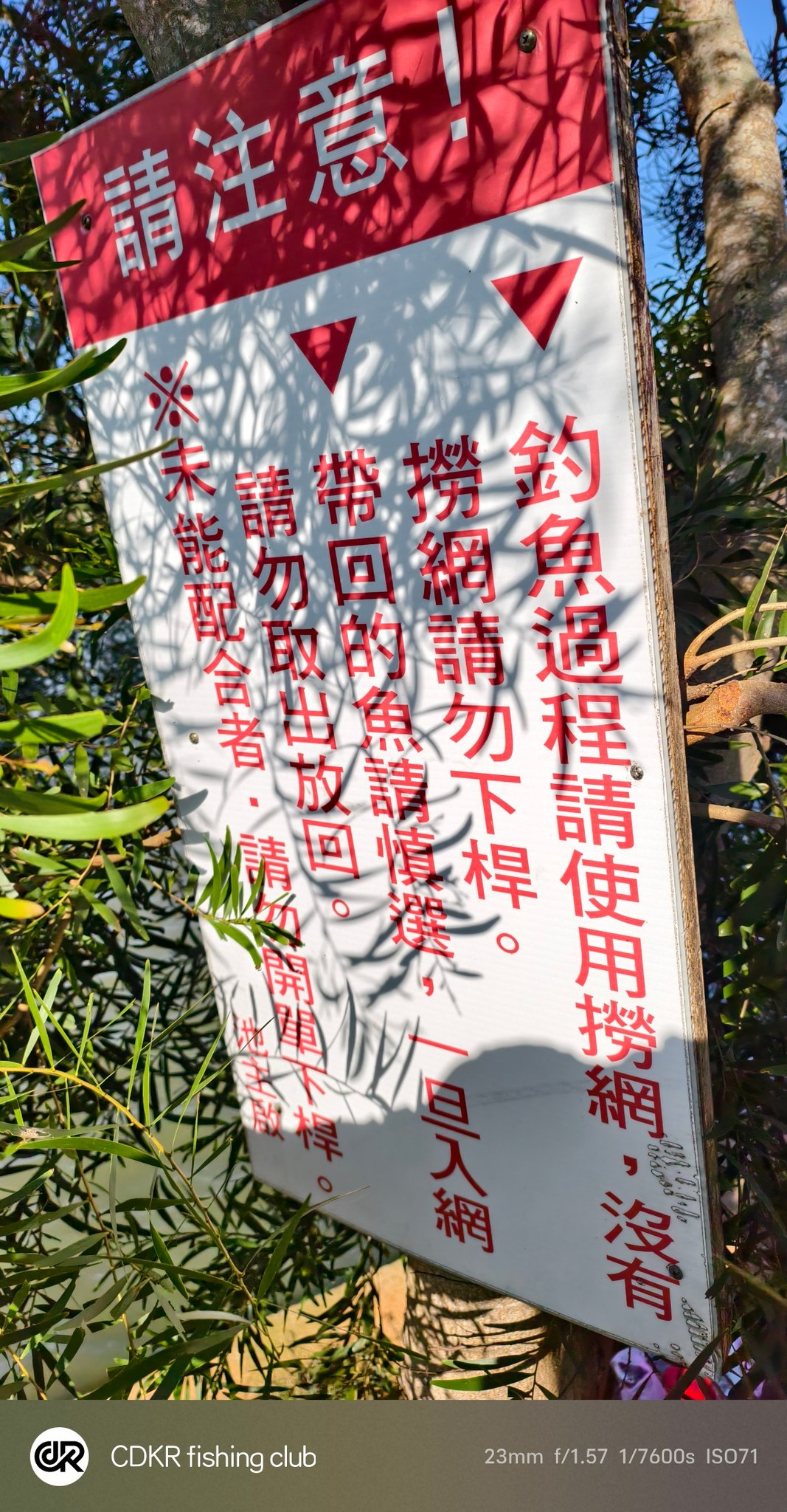 福壽魚愛釣魚 - 福壽魚愛釣魚 added a new photo.