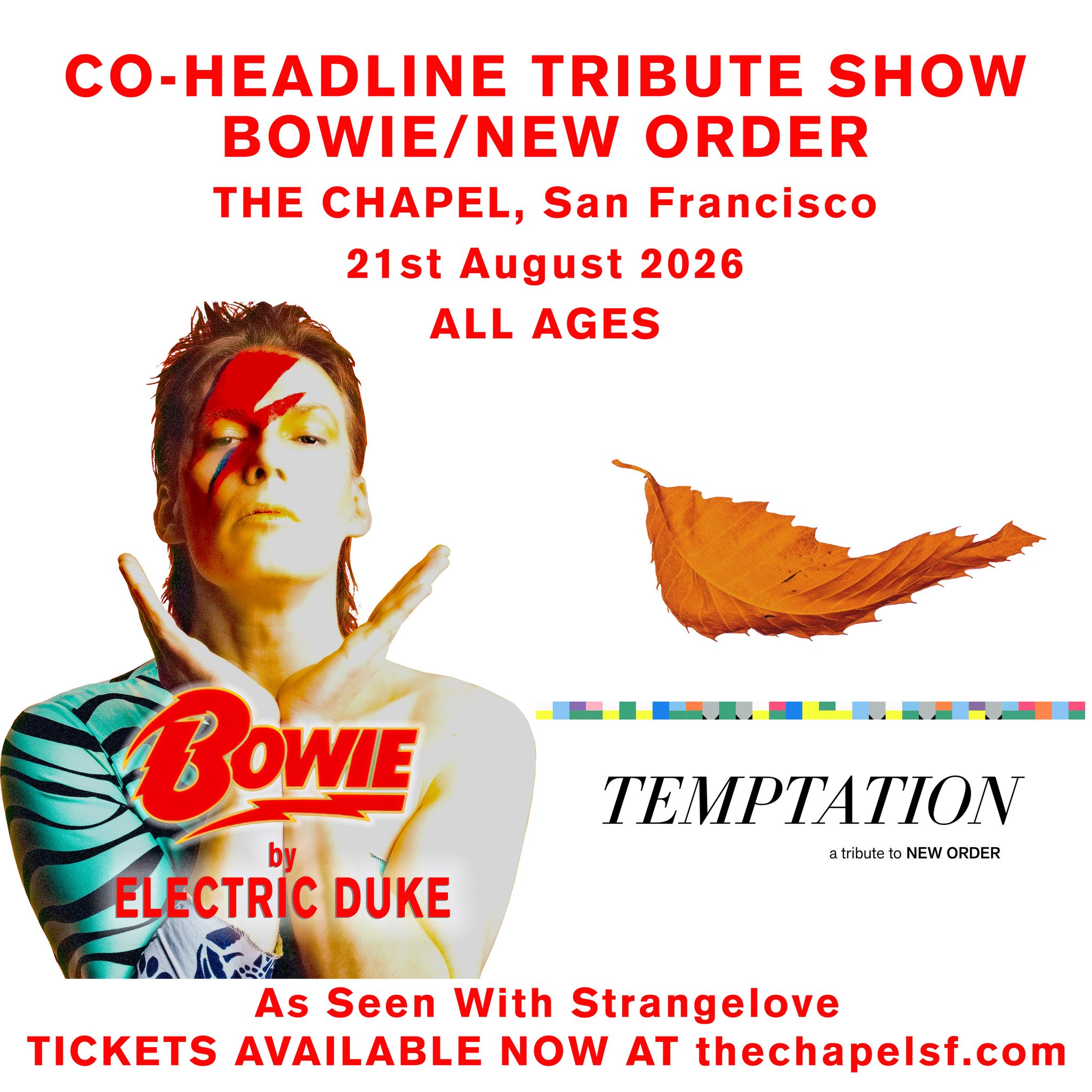 Temptation - a tribute to New Order (@temptationneworder) • Facebook