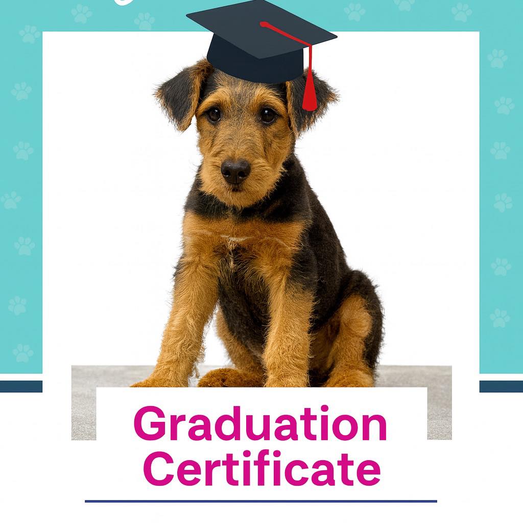 🐾 Puppy Program Enrolments Now Open! 🐾 Positive Pooch Solutions ...