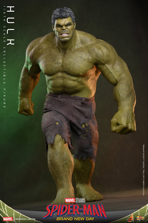 🔥New Pre-Orders for 31.07.2026 (Part VI)🔥 Hot Toys - Artist Mix