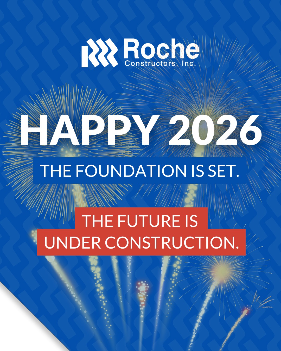 Roche - 🎉 Cheers to 2026 from Team Roche We’re stepping into the new ...