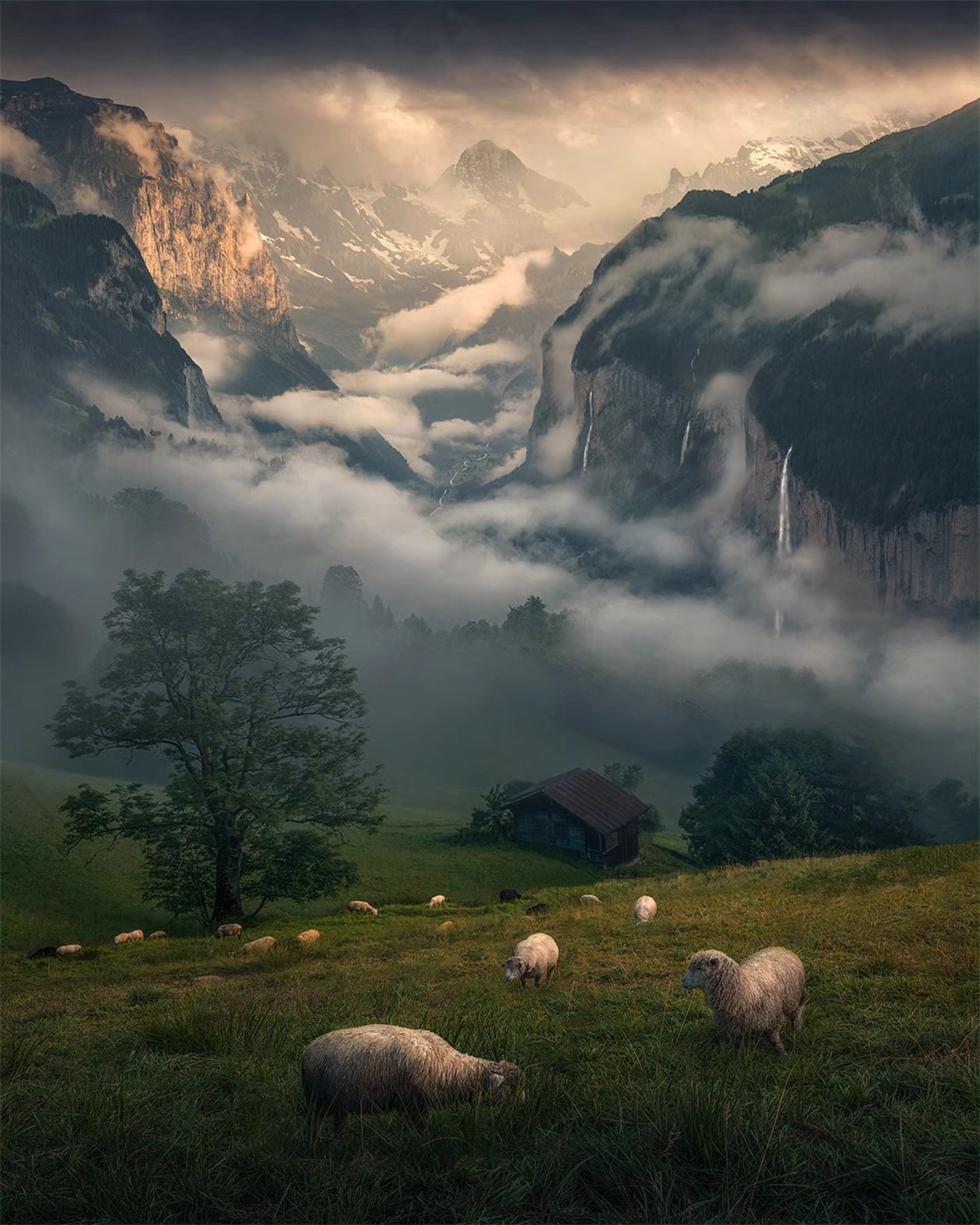 Max Rive Photography added a new... - Max Rive Photography
