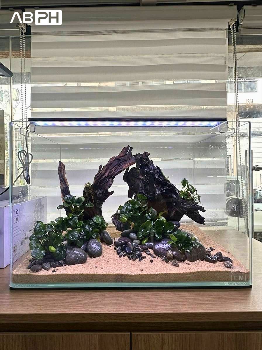 fish aquarium accessories philippines EKDJKK 11 Pcs Plants, Artificial Aquarium Decor Colorful Plants, Tank Accessories, Fish Tank Plant Plastic Decoration for Household and Office Aquarium Simulation Pet Supplies Aquarium Boi PH - ABPH