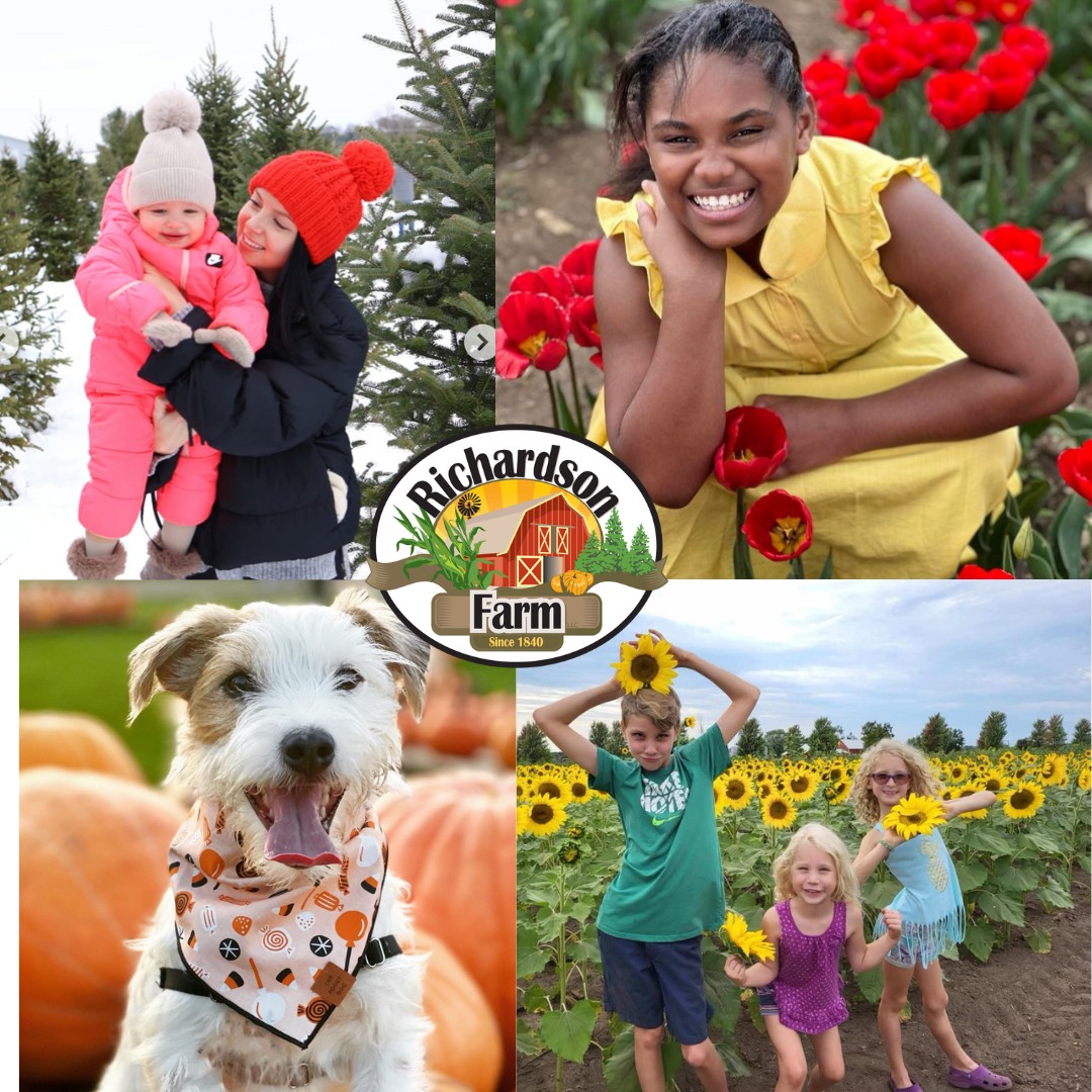 Richardson Cut-Your-Own Christmas Tree Farm | Spring Grove IL