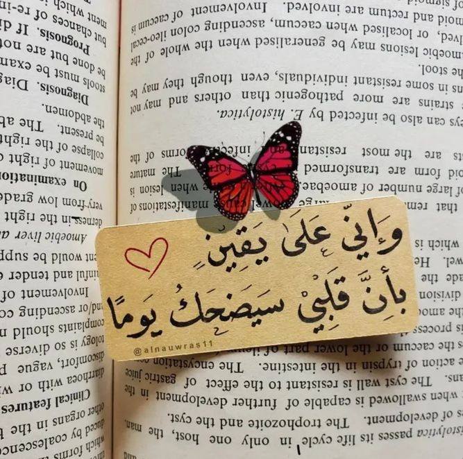 وادى - الفصل السابع والاربعين زين بصدمه: بنت علي رحيم موطي راسه ومش ...