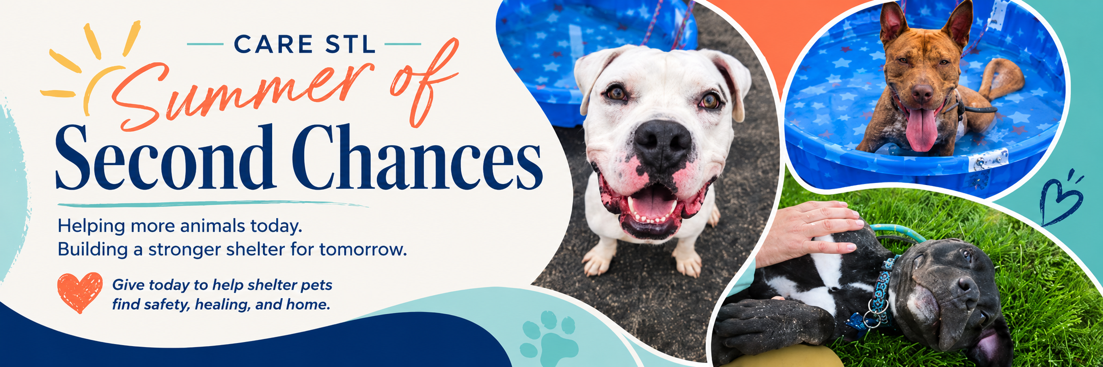 Pupperton is a STAR!!!! 🤩... - Humane Society of Missouri | Facebook