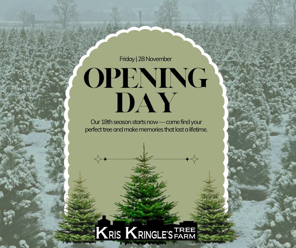 The gate will open at 9am! 🎄 We... - Kris Kringle's Tree Farm | Facebook