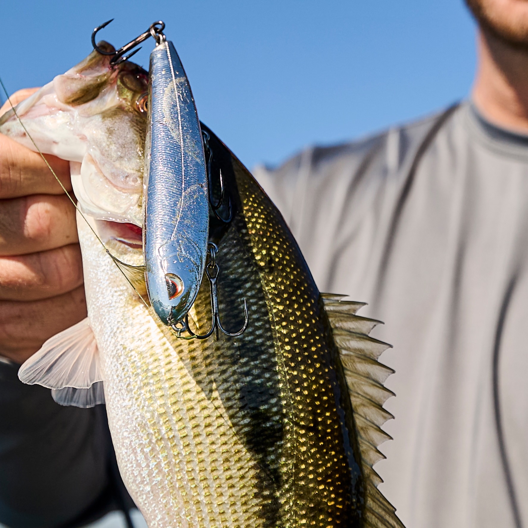 aluminum fishing lure Magana 1, Aluminum/Clear Coat, CNC Machined Surface Iron  Magana Lures gold and silver for your choice to meet your different needs Rat-L-Trap RT253 Fishing Lure, Sunrise