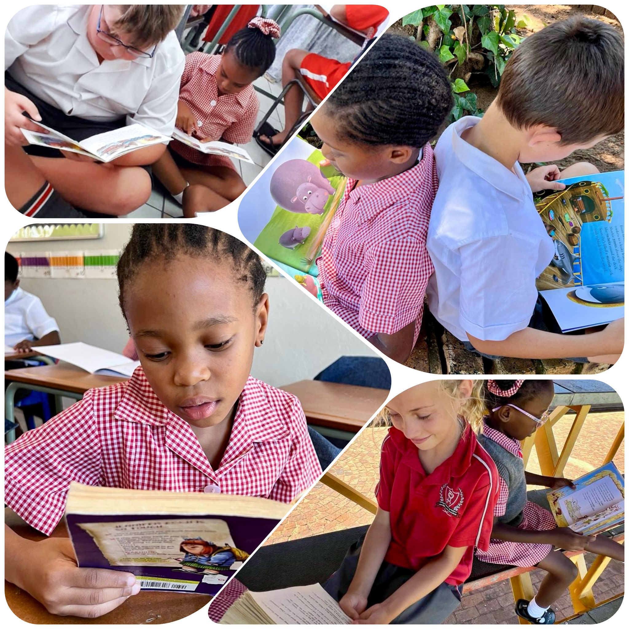 Rynfield Primary School | Benoni