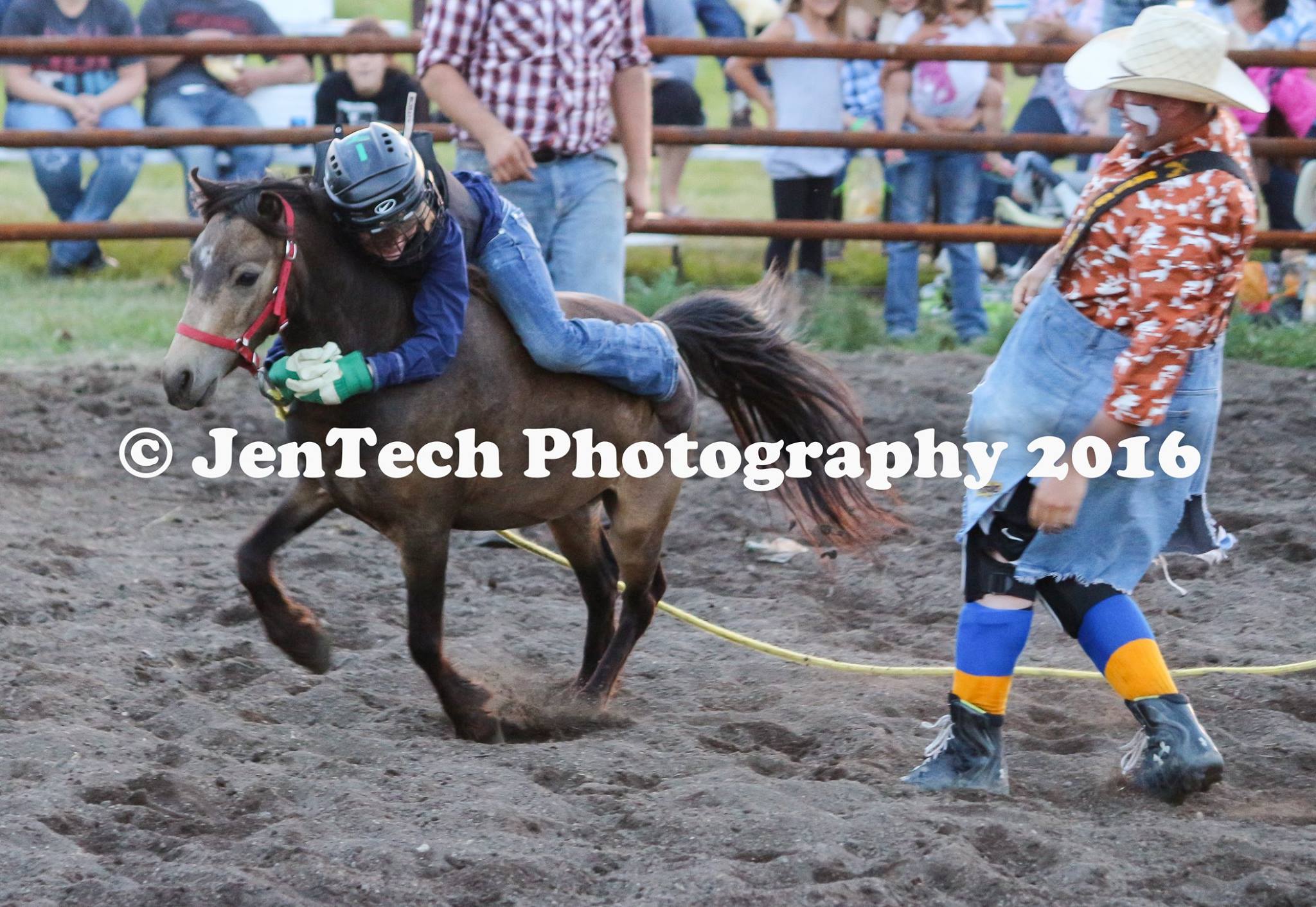 Gainsborough Black Gold Rodeo