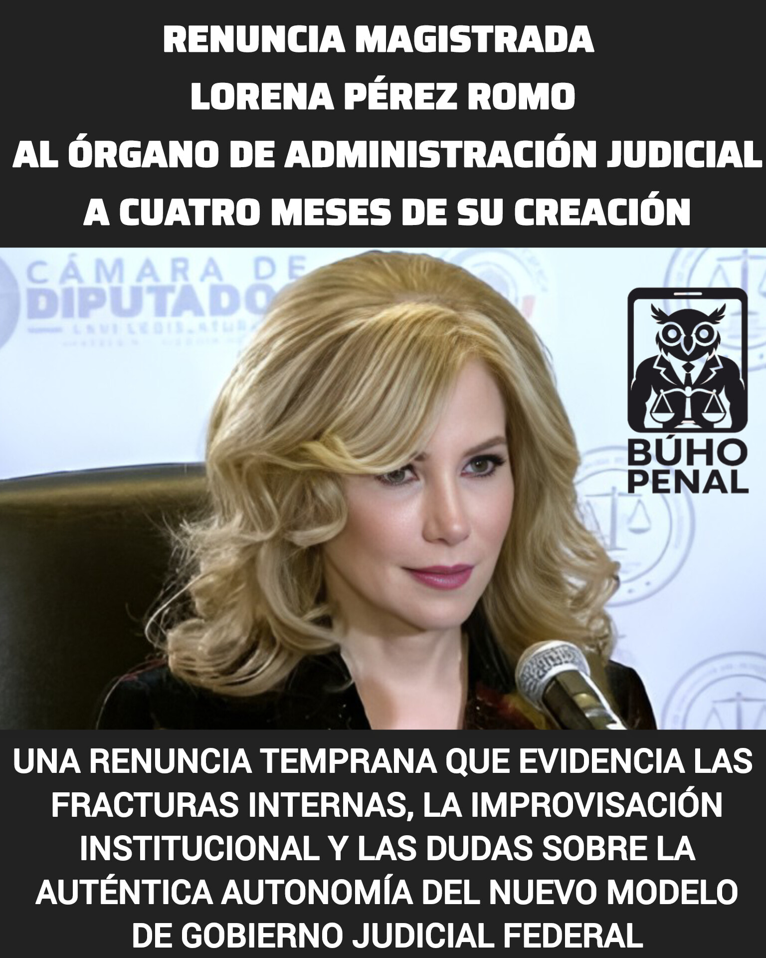 BÚHO - ⚖️ RENUNCIA MAGISTRADA LORENA PÉREZ ROMO AL ÓRGANO DE ...