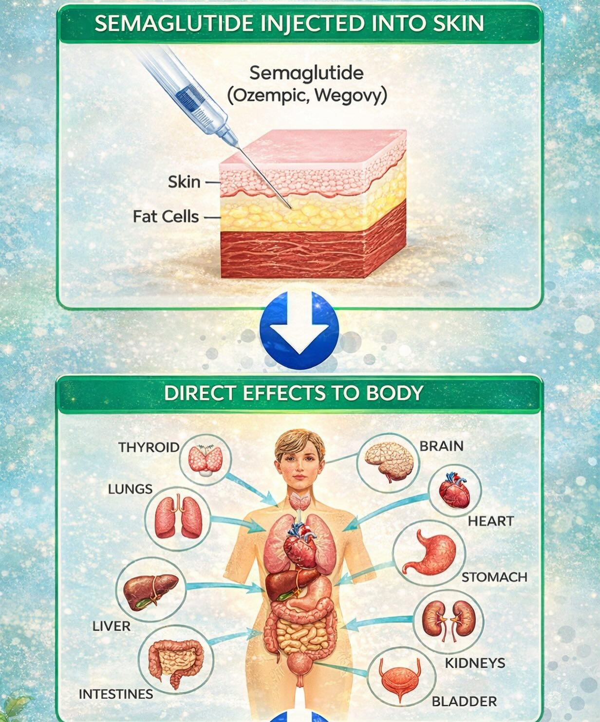 LC - Semaglutide (commonly known as Ozempic® or Wegovy®) is ...