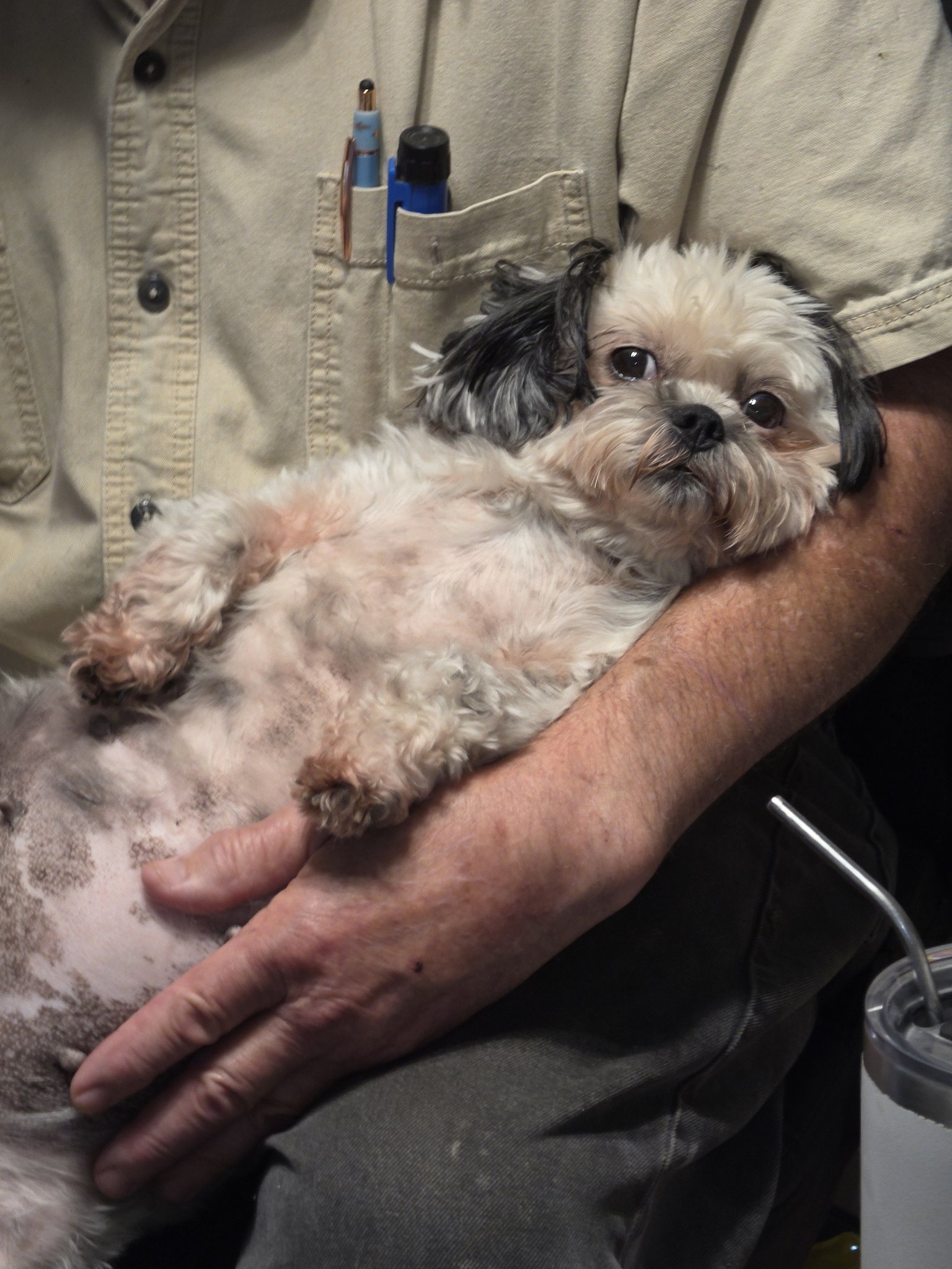 J and J's Homeless Pet Rescue
