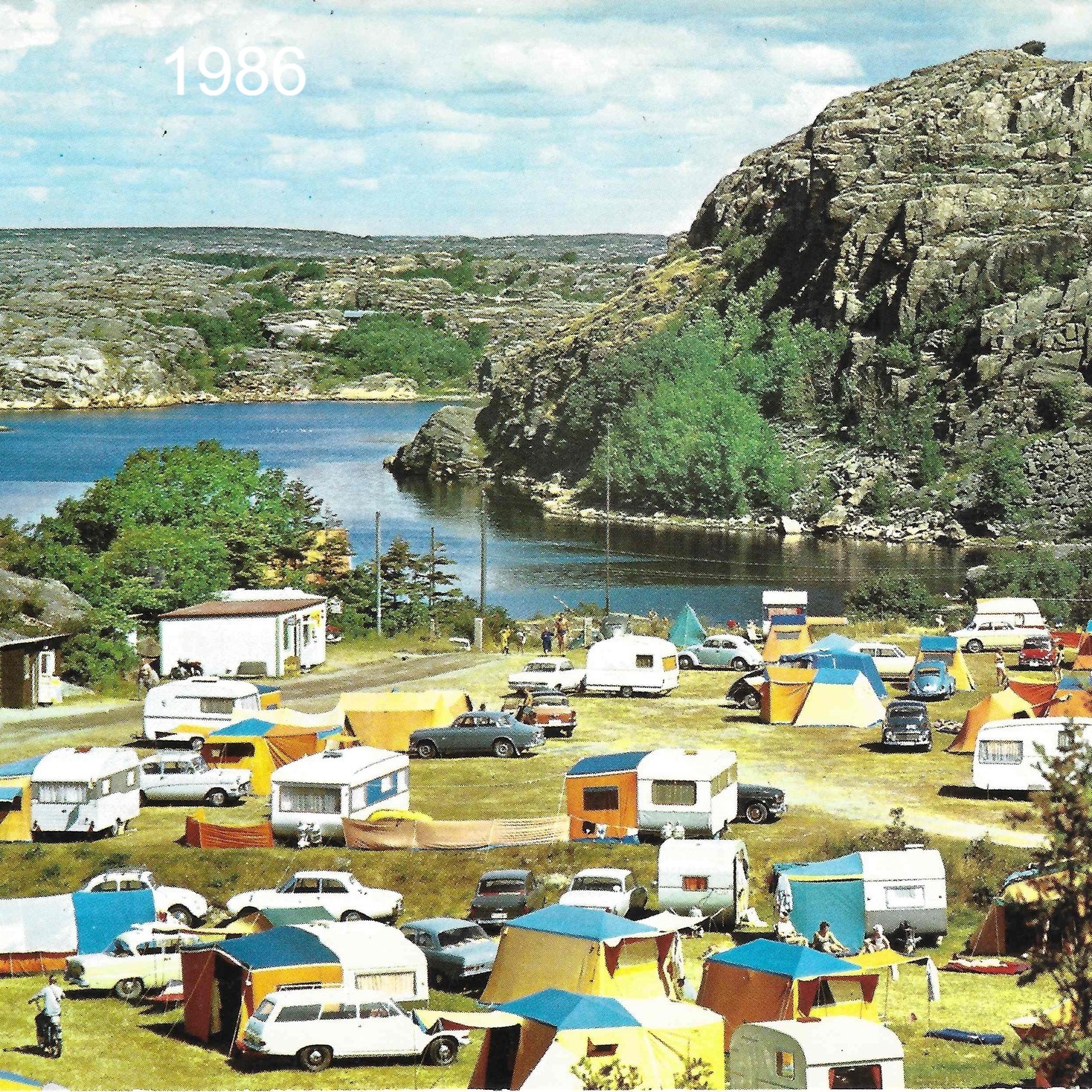 vw bus camping zubehr Stuff-Board fr die Heckklappe  Overland Molle-Panel  leichtes  zweigeteiltes Stauraumsystem #VW Bus T5/T6