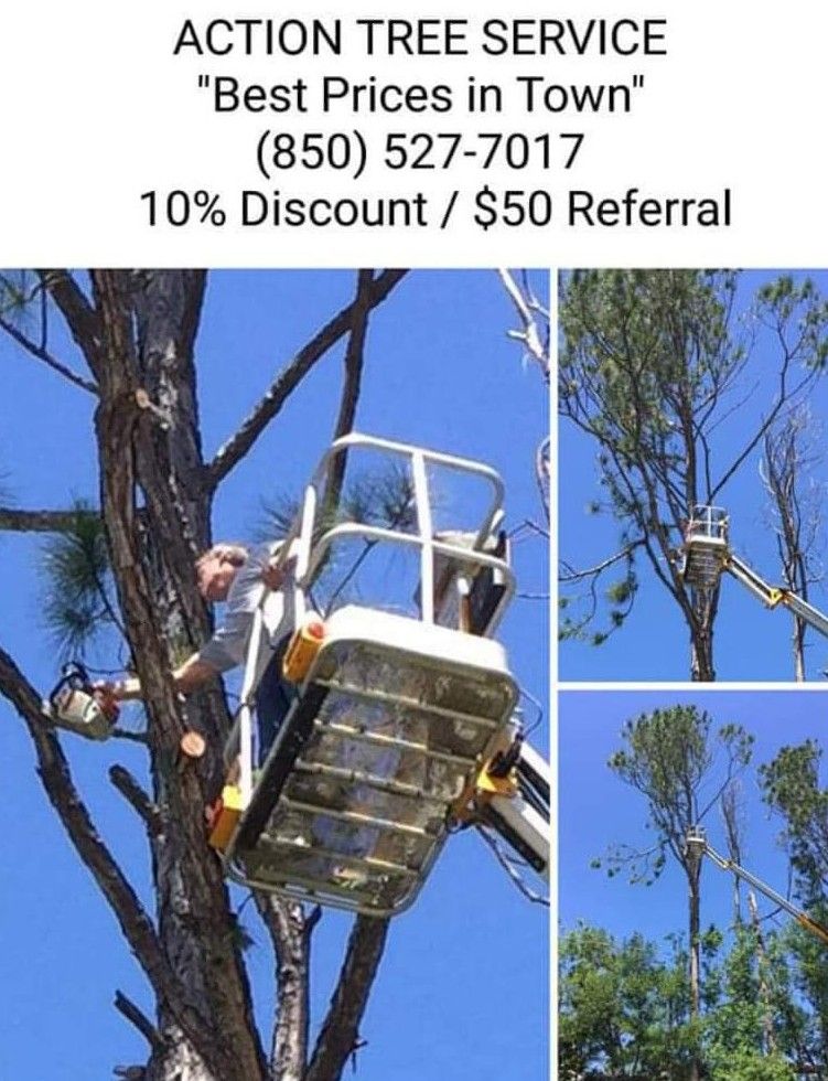 Action Tree Service