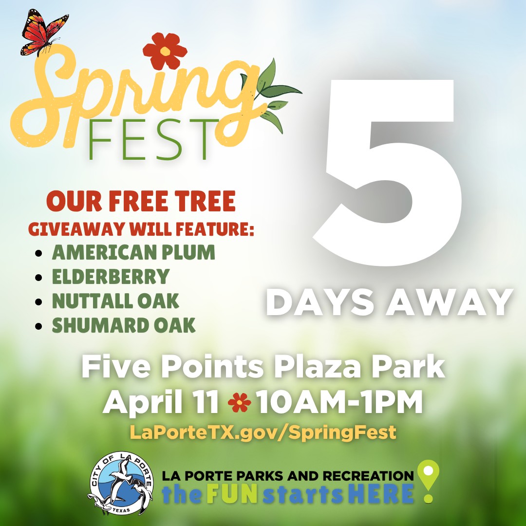 Spring Fest is just 🌼 5 DAYS AWAY! 🌼 Join us at the Five Points