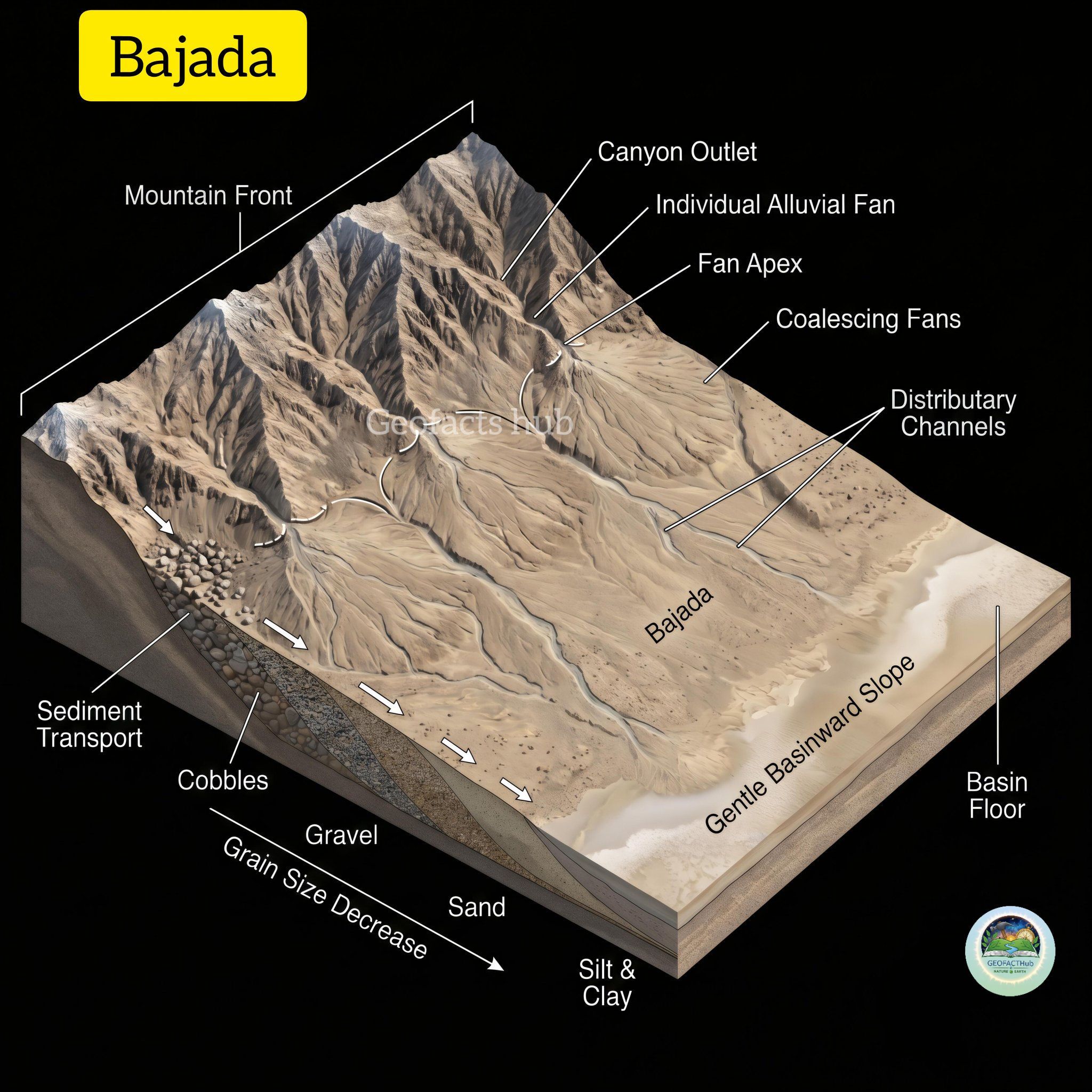 What is an alluvial fan in Rocky Mountain National Park
