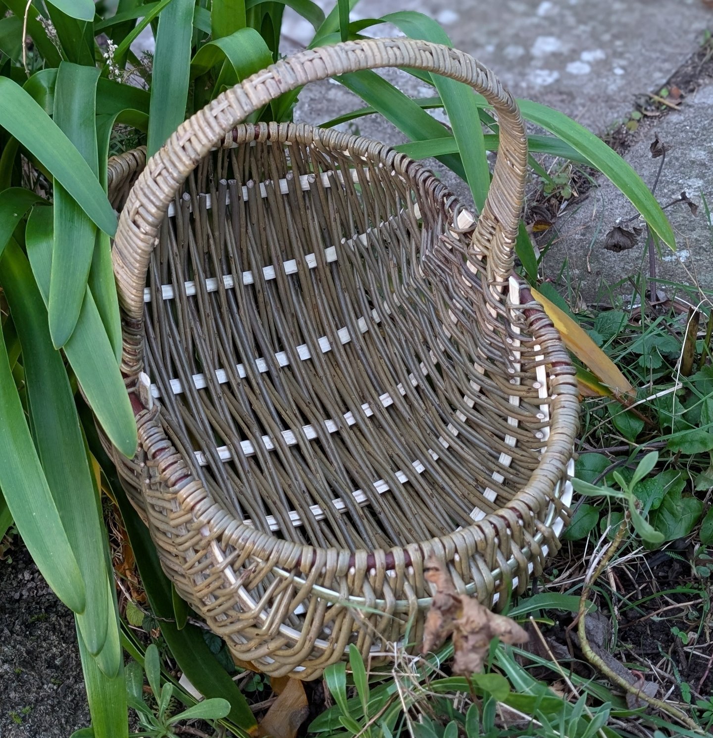 Welsh Baskets