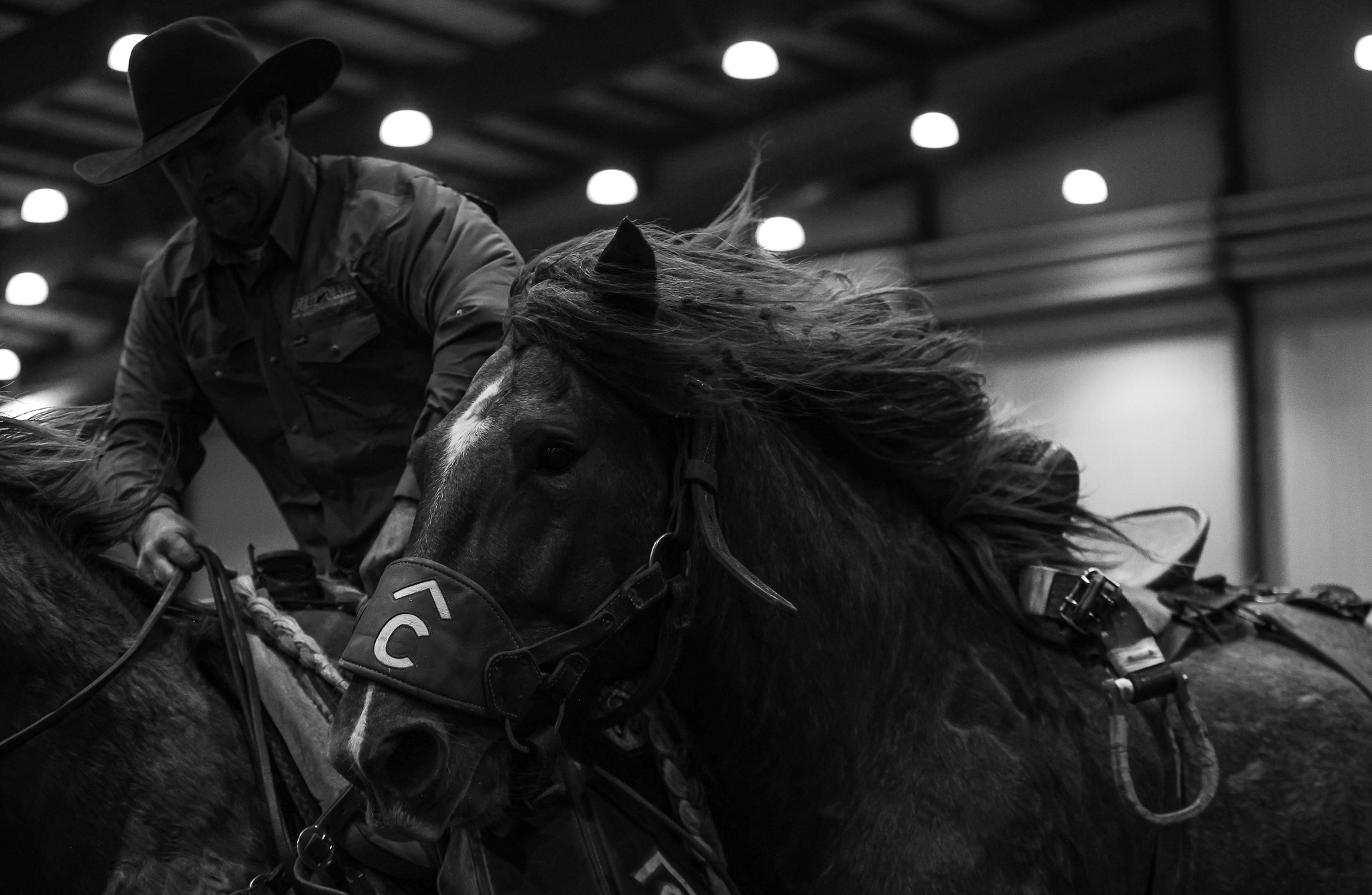 Pete Carr Pro Rodeo added a new... - Pete Carr Pro Rodeo