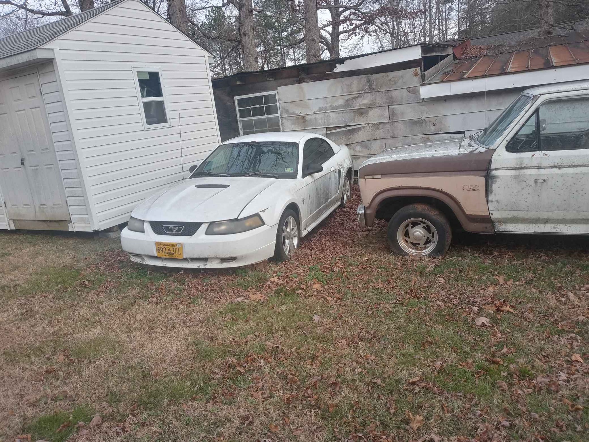 2000 Ford Mustang Cars & Trucks Bealeton, Virginia Facebook
