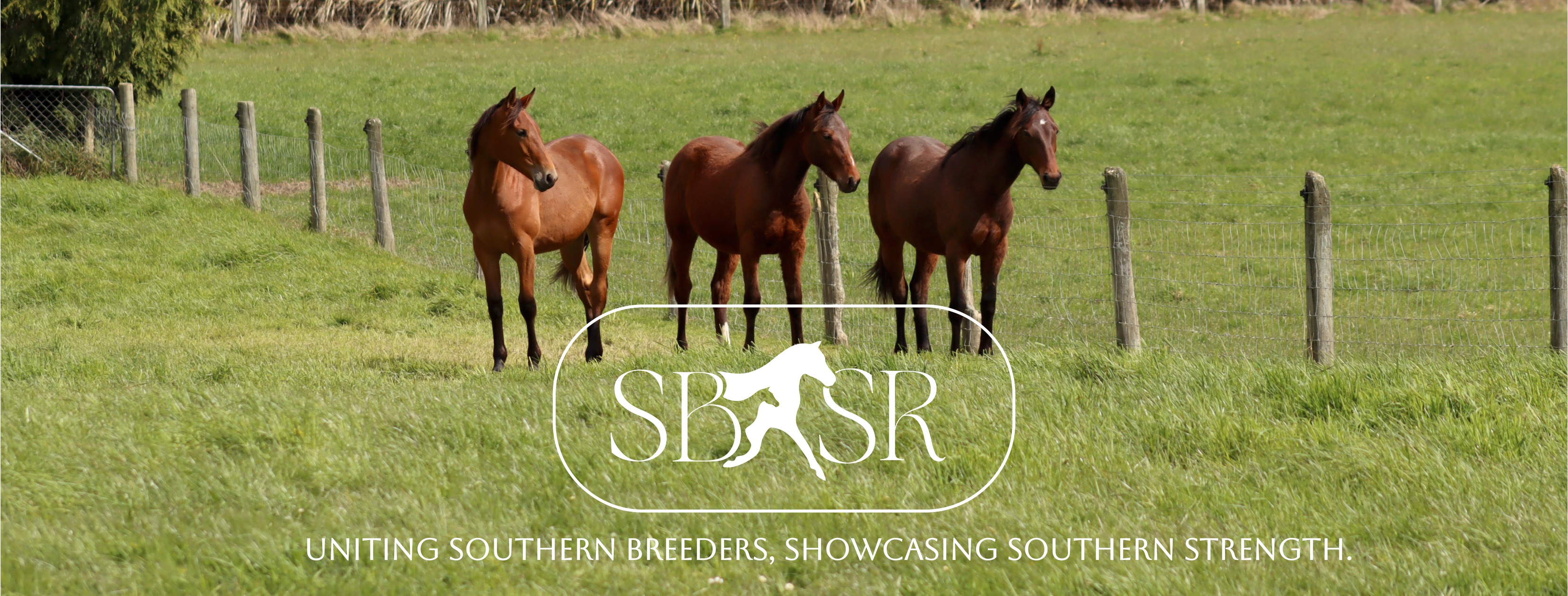 Southern Bred Southern Reared