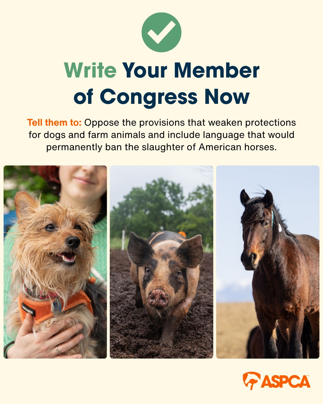 ASPCA - BREAKING CONGRESS UPDATE‼️Members of Congress just... | Facebook
