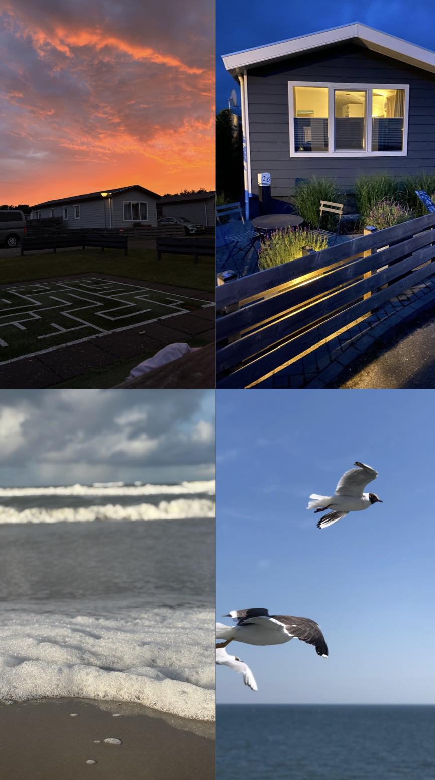 Texelchalet 26 | De Koog