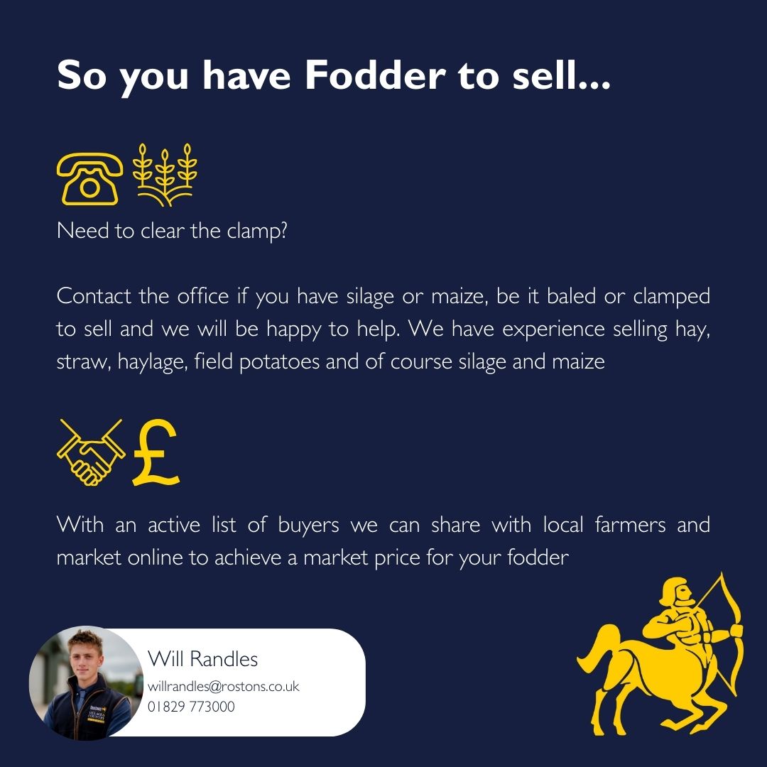 Rostons UK - So you need to submit a planning application…... | Facebook
