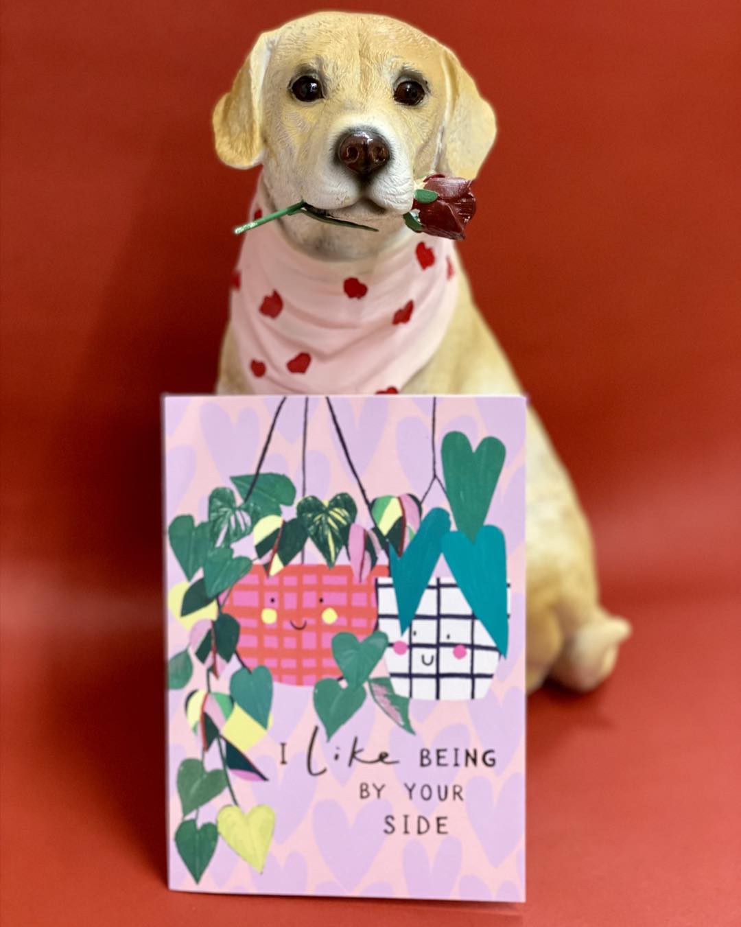 Cardies - Cute Valentine’s cards from Stop The Clock... | Facebook
