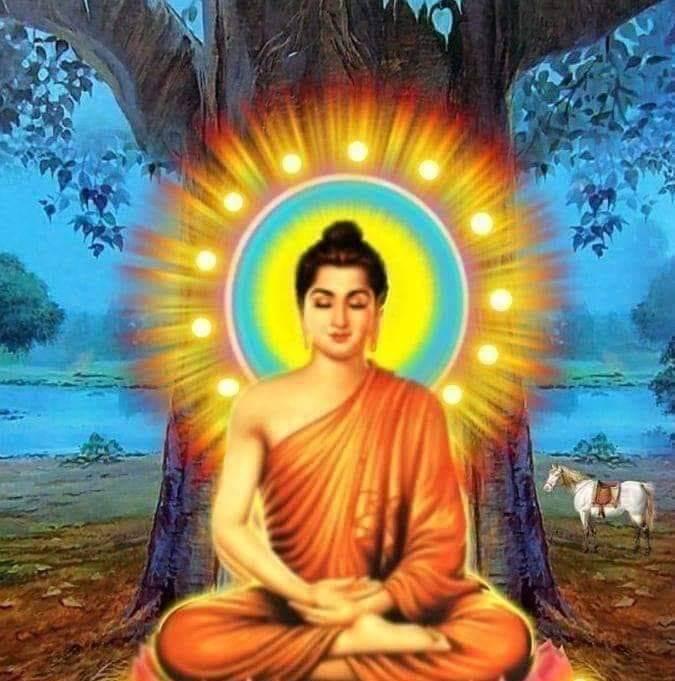 Raj Vel