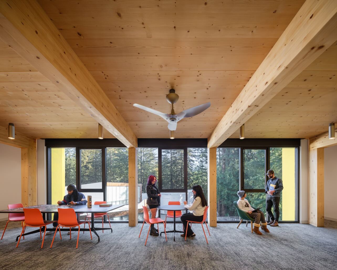 TEF Design | San Francisco CA
