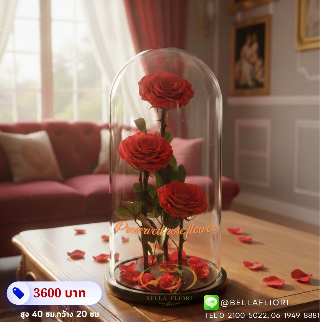 ดอก preserved... - ร้านดอกไม้เบลล่า ฟลิโอรี่ | Facebook
