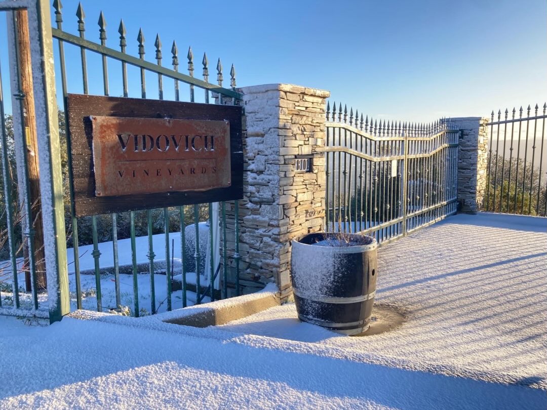 Vidovich Vineyards | Cupertino CA