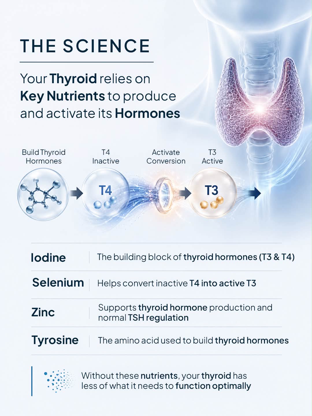 glutathione t4 to t3 Miduty 👶🏻Research shows amazing results Nutraceutical Ingredients Size:75 sgels