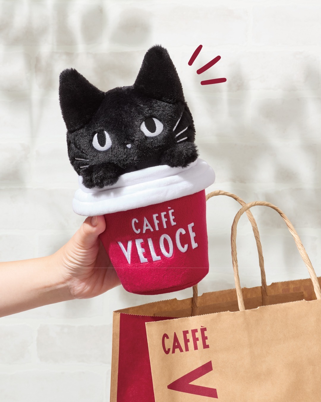 今年もこの日が来ました！！ 有明店 で、 ＃コミケC107限定イベントを