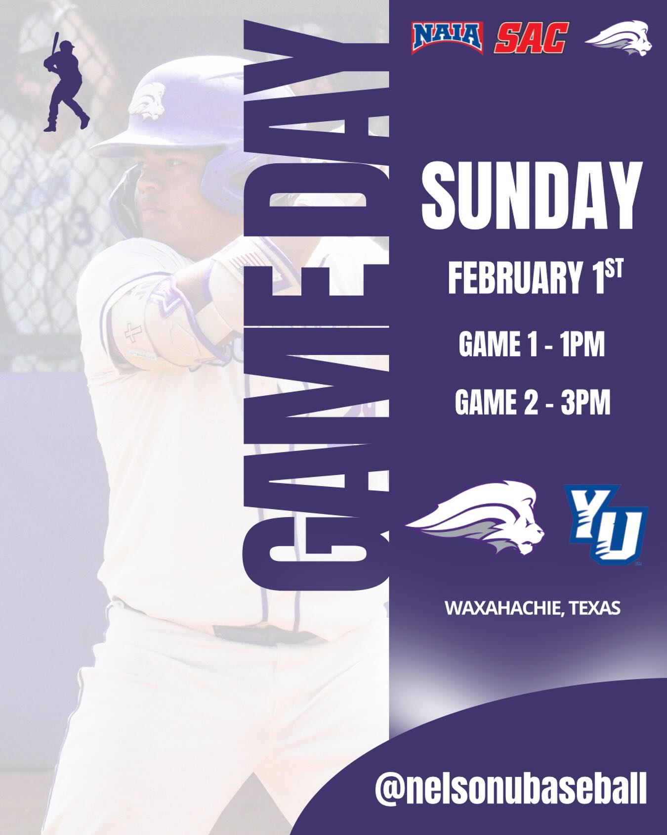 Nelson University Baseball | Waxahachie TX