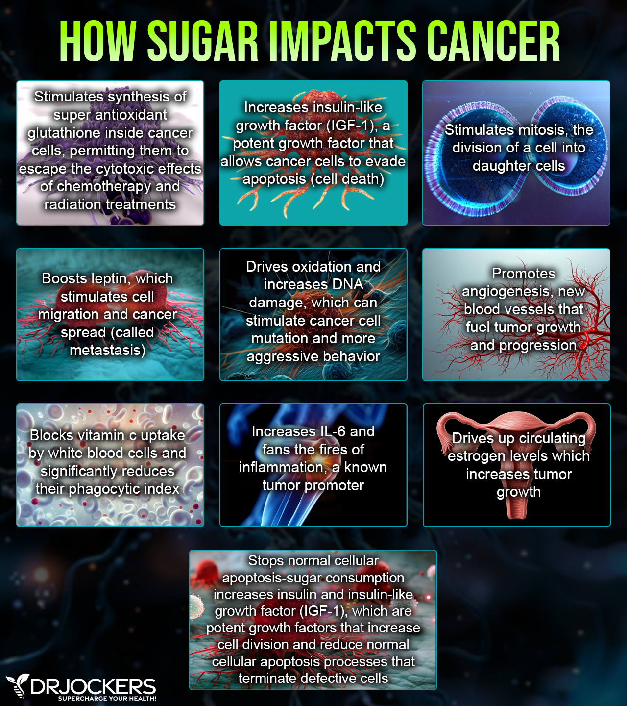 does glutathione cause cancer to spread Take a look at almost any treatment center in the US that uses traditional treatment methods (chemotherapy, radiation, and surgery) and you'll notice something outright blasphemous. help keep weight on Peptides – Integrative Health Water-Based Size:1000 mcg/ml - 30 ml x 4