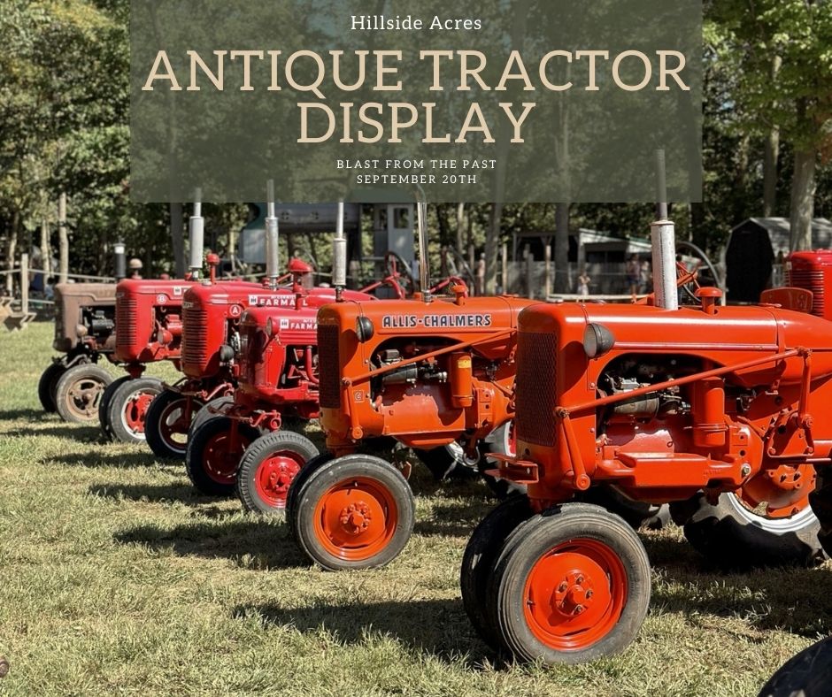 Antique Tractor Display & Caramel Apple Day