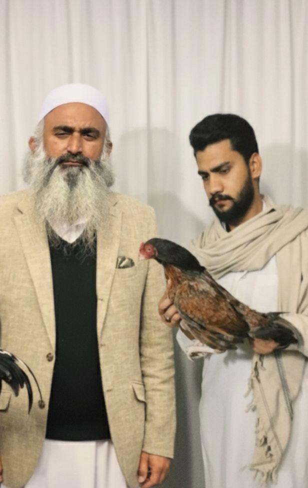 UA Livestock Karachi