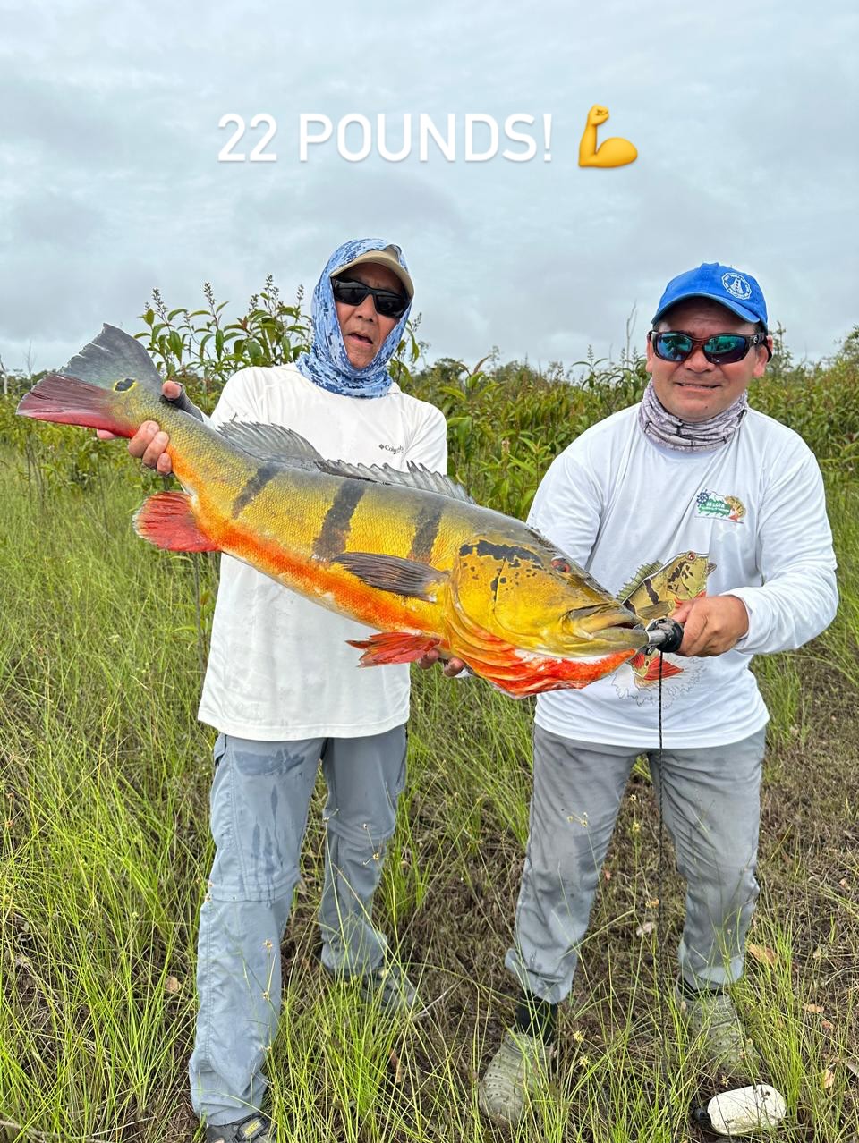 Acute Angling - Amazon Peacock Bass Fishing