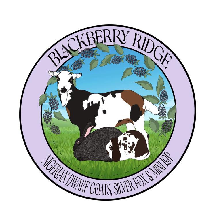 Small town, country life, and back roads in Vermont #Vermont # ...