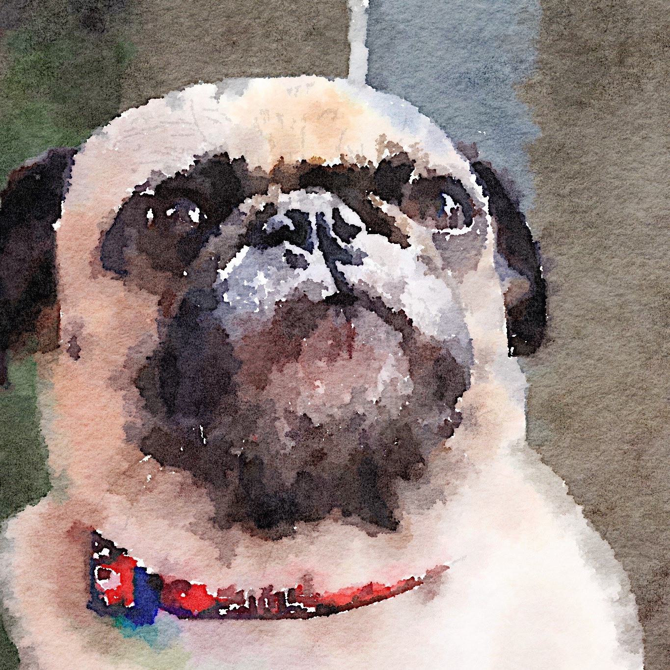 Pug Obsessed | After-work bonding with LuLu | Facebook
