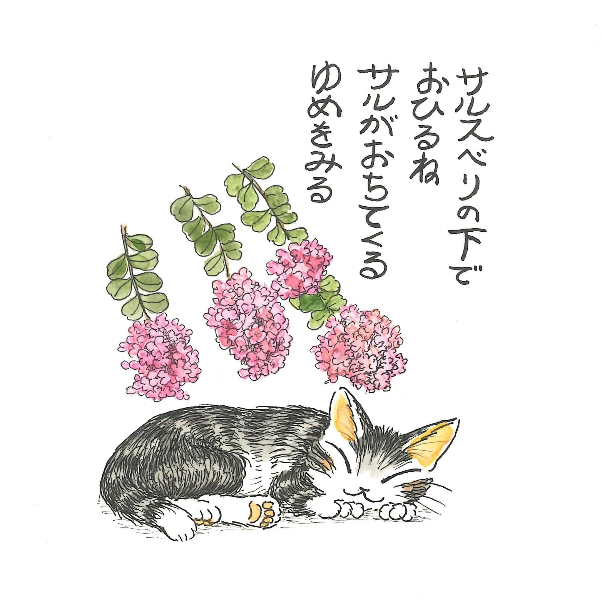 わちふぃーるど (@wachifield.dayan) • Facebook