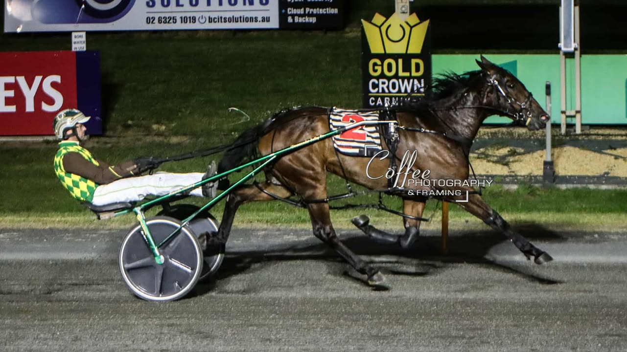 Bathurst Harness Racing Club - Sky Racing Active Pace PANTHER STAR ...