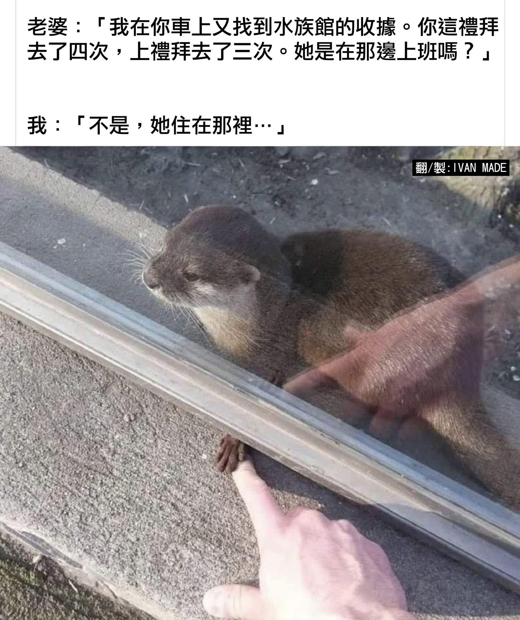 免費迷因 | Free Memes | 這怎麼忍 完全扛不住 | Facebook