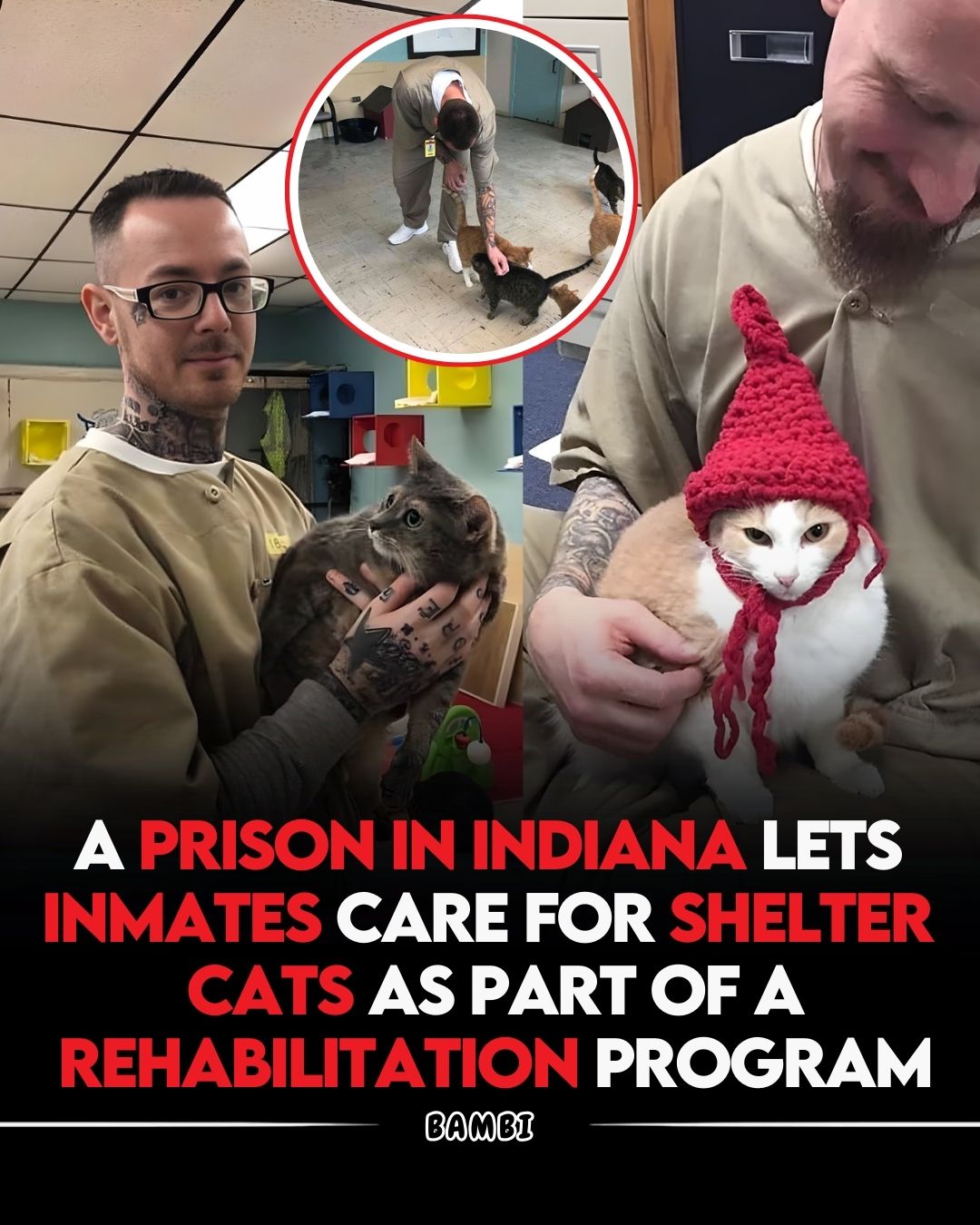 A diz - In an innovative move towards rehabilitation, a prison in ...